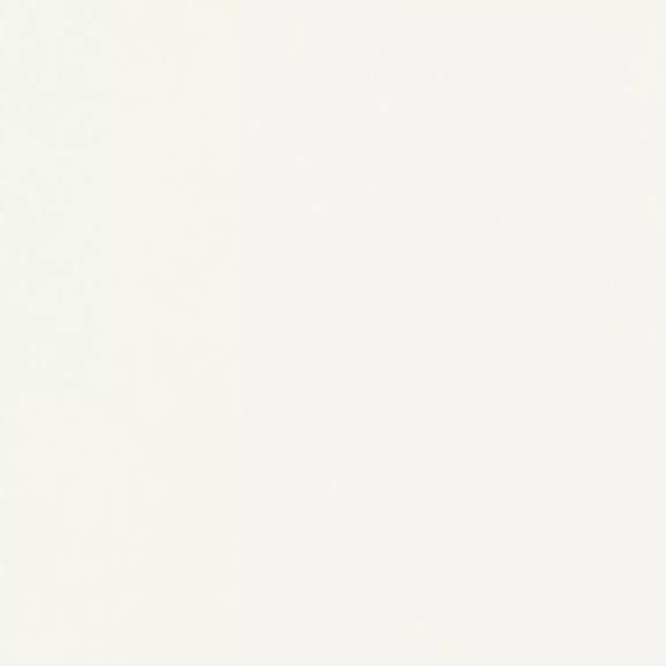 ЛДСП 25 мм W960 Белый классический 2800*2070 SM